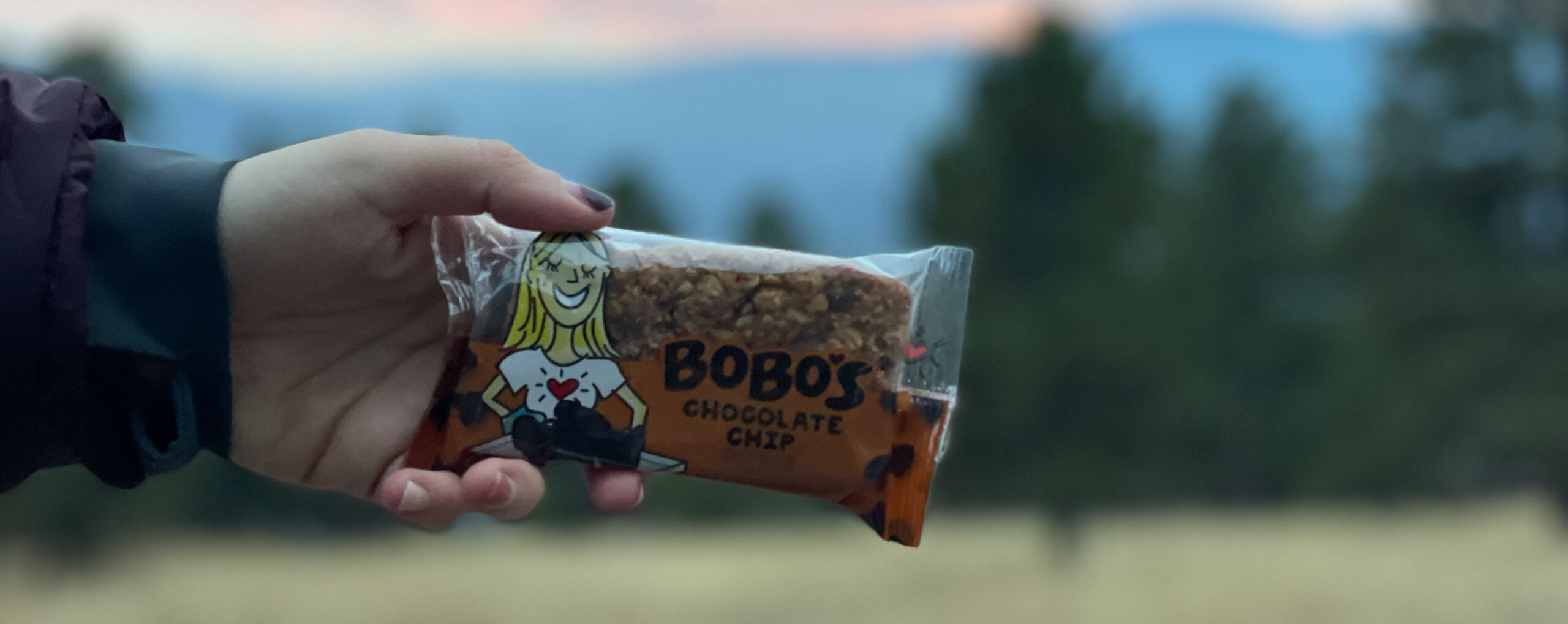 bobo-oat-bar-review-dirtbagdreams.com